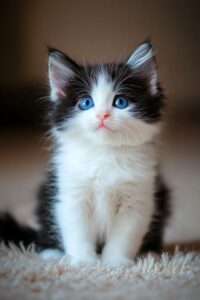 Uncoated Business Cards