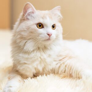 Textured Business Cards